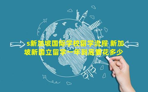 s新加坡国际学校留学流程 新加坡新国立留学一年到底要花多少 🪴 钱